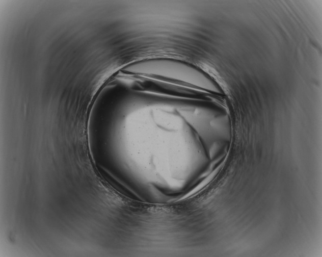 X0000091011089200708241506