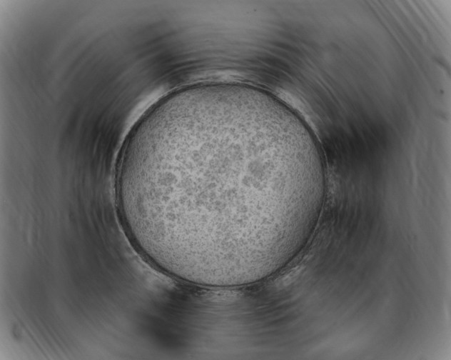 X0000091011090200708241506