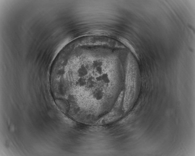 X0000091011091200708241506