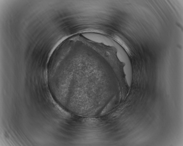 X0000091011092200708241506