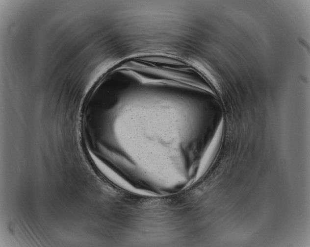 X0000091011093200708241506