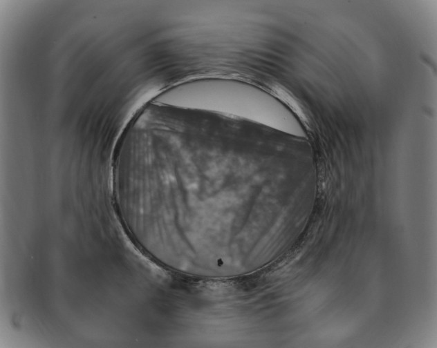 X0000091011095200708241506