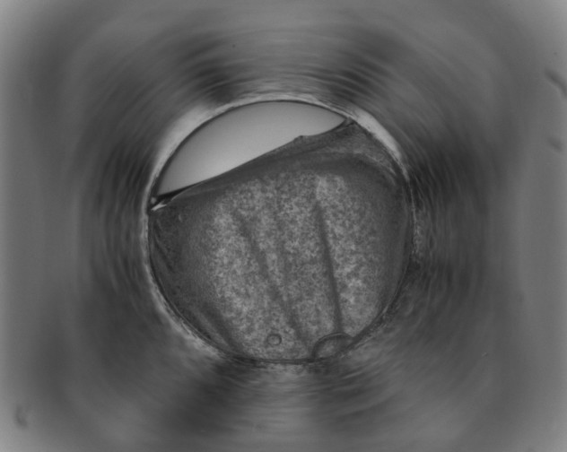 X0000091011096200708241506