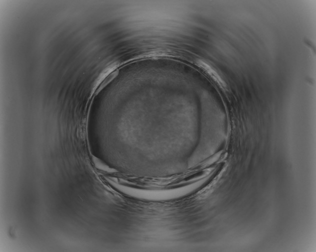 X0000091011097200708241506