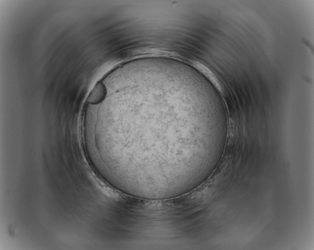 X0000091011098200708241506