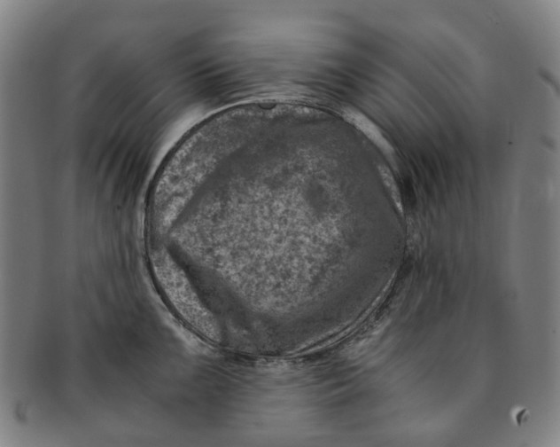 X0000091011099200708241506