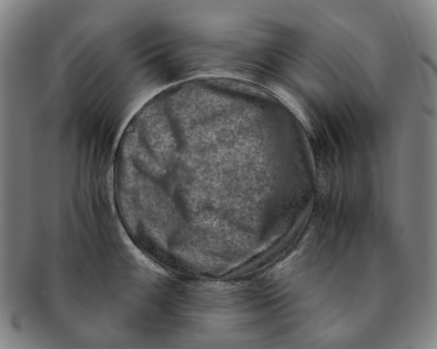 X0000091011100200708241506