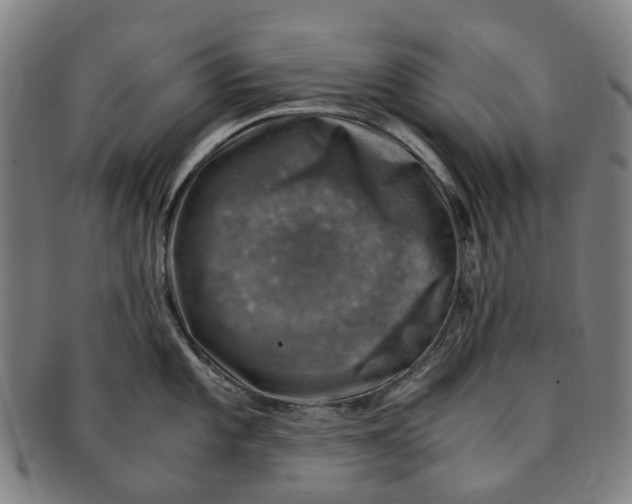 X0000091011101200708241506