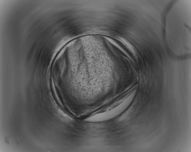 X0000091011102200708241506