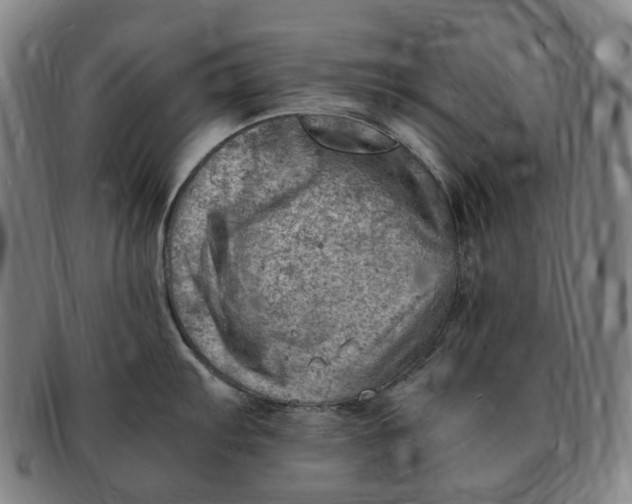 X0000091011103200708241506