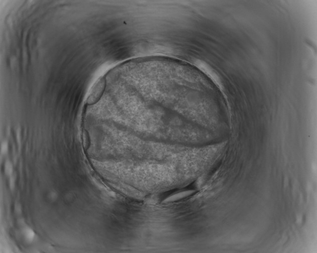 X0000091011104200708241506