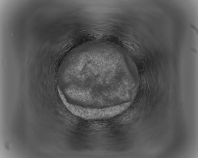 X0000091011105200708241506