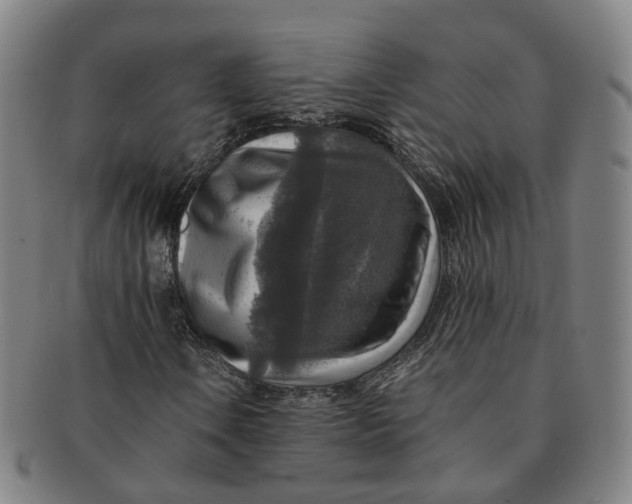 X0000091011106200708241506