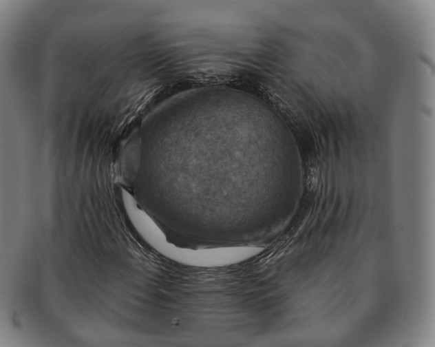 X0000091011108200708241506