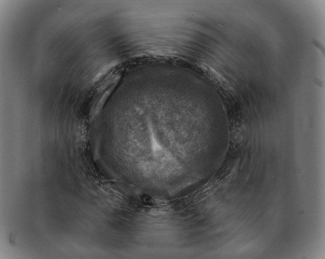 X0000091011110200708241506