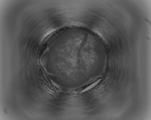 X0000091011112200708241506