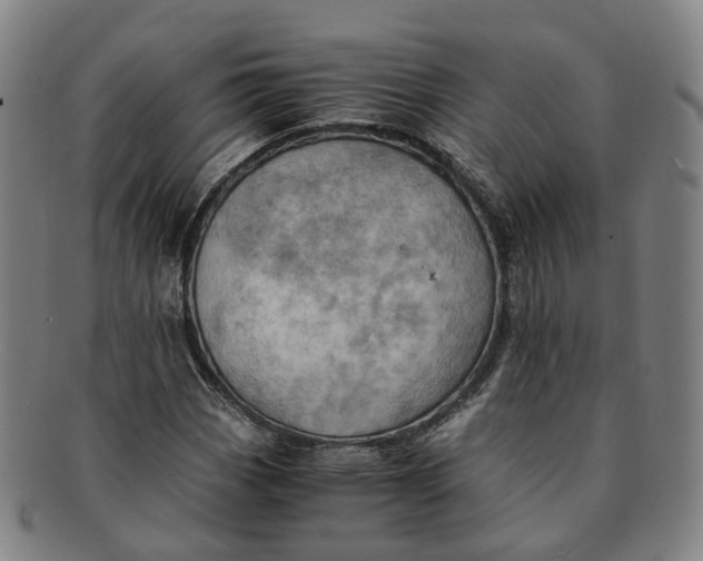 X0000091011113200708241506