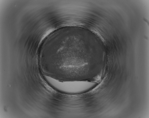 X0000091011114200708241506