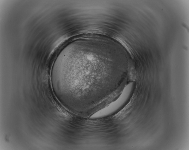 X0000091011115200708241506