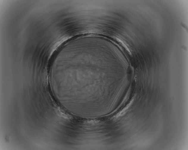 X0000091011117200708241506