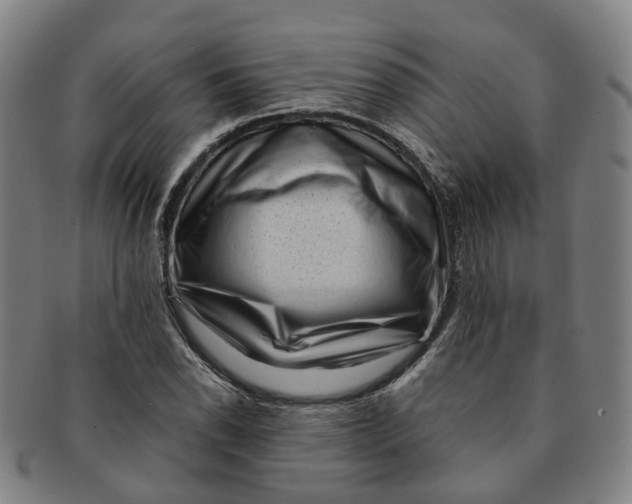 X0000091011118200708241506