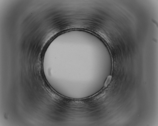 X0000091011119200708241506