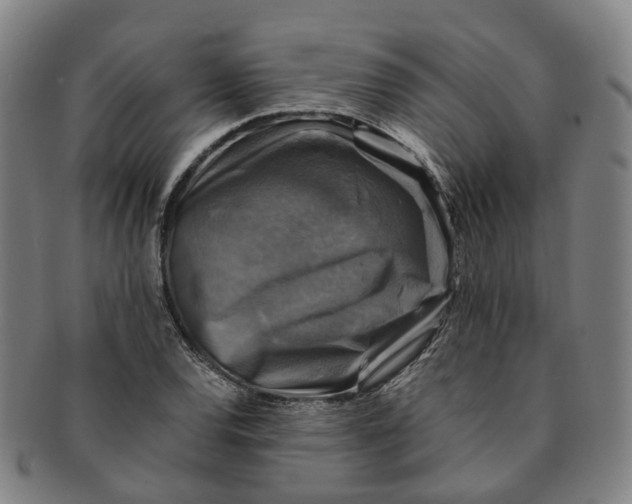 X0000091011120200708241506