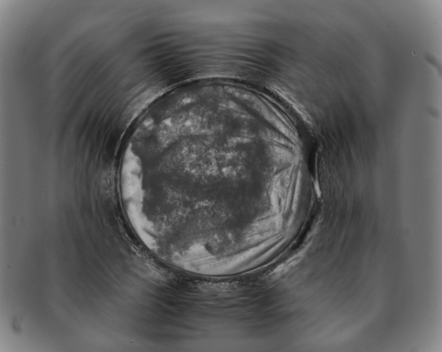 X0000091011121200708241506