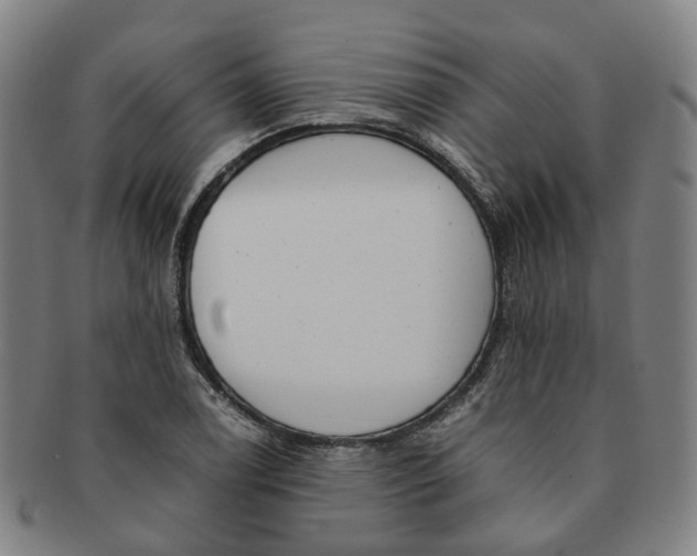 X0000091011122200708241506