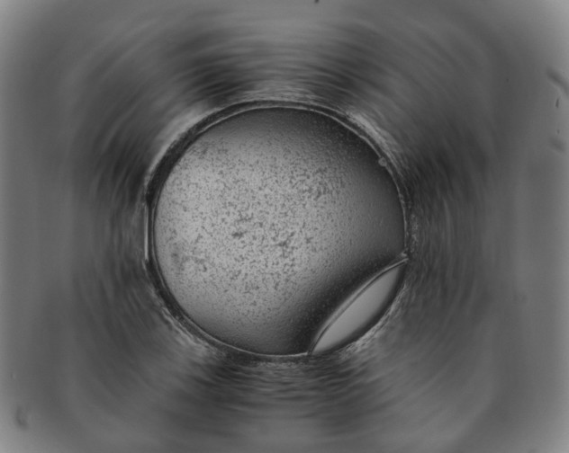 X0000091011123200708241506