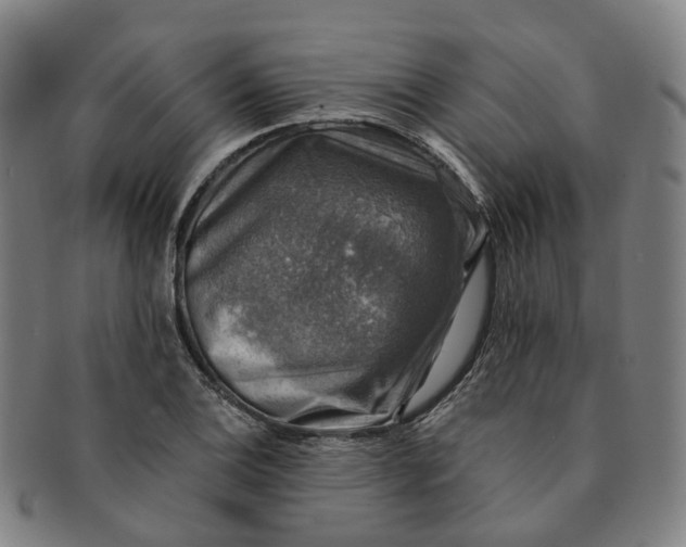 X0000091011124200708241506