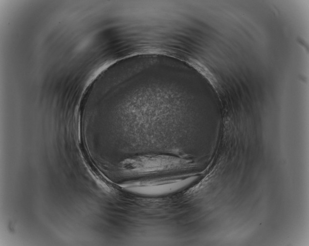 X0000091011127200708241506