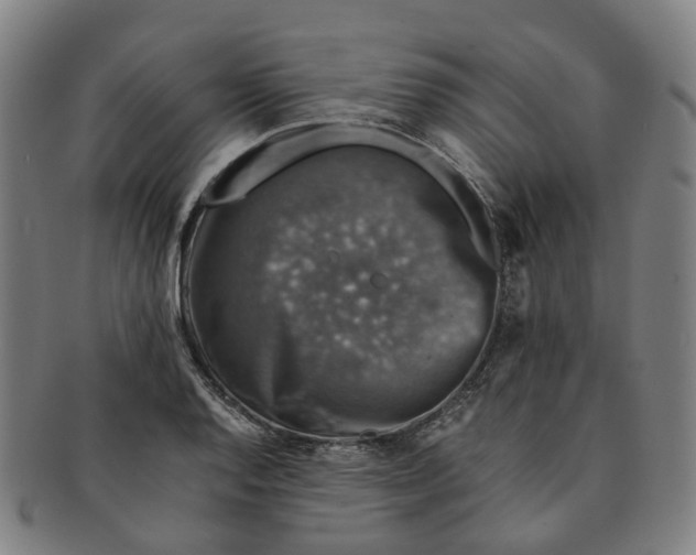 X0000091011128200708241506