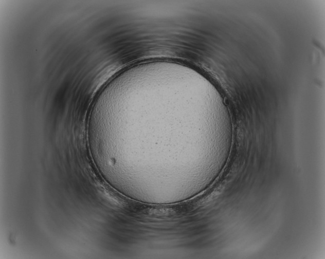 X0000091011129200708241506