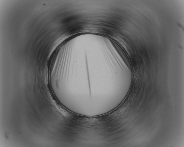 X0000091011131200708241506