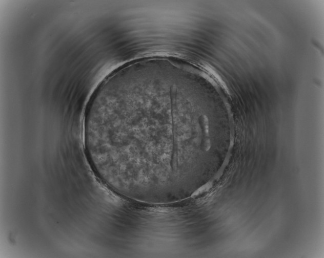 X0000091011132200708241506