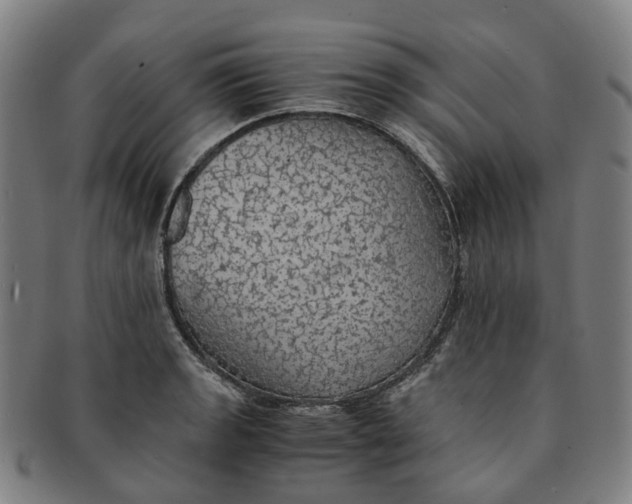 X0000091011133200708241506