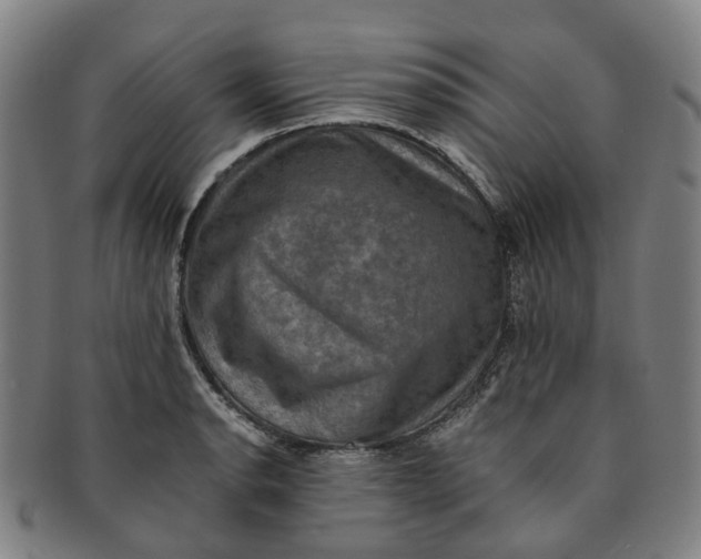 X0000091011134200708241506