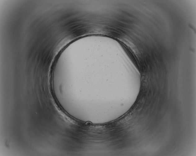 X0000091011135200708241506