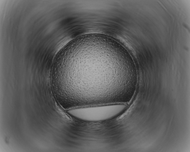 X0000091011137200708241506