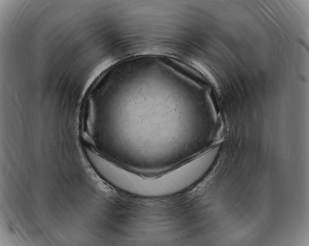 X0000091011138200708241506