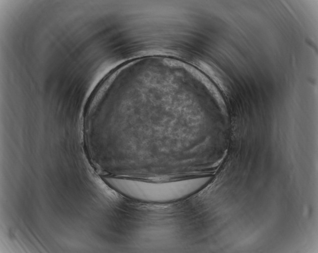 X0000091011140200708241506