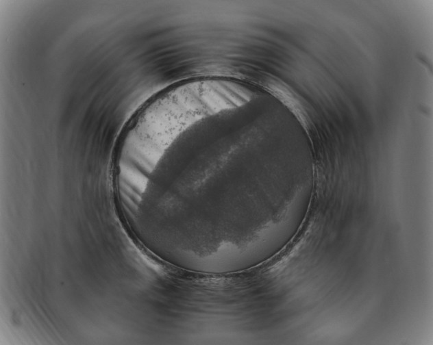 X0000091011141200708241506