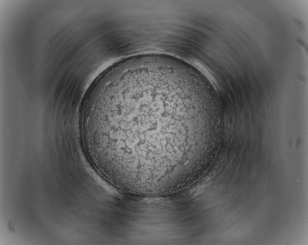 X0000091011142200708241506