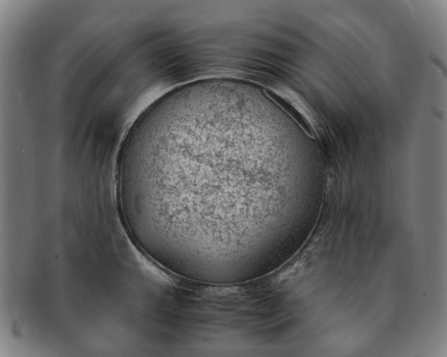 X0000091011143200708241506