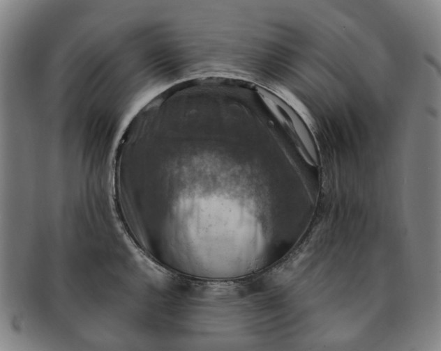 X0000091011144200708241506