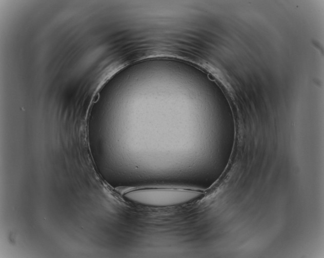 X0000091011145200708241506