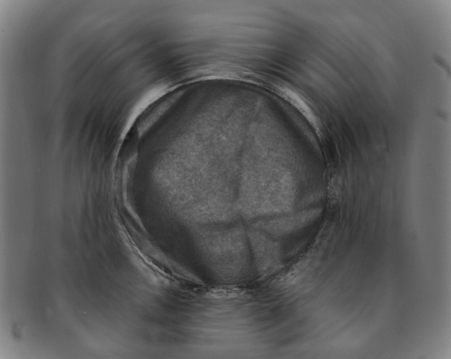 X0000091011146200708241506