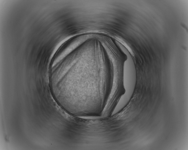 X0000091011148200708241506