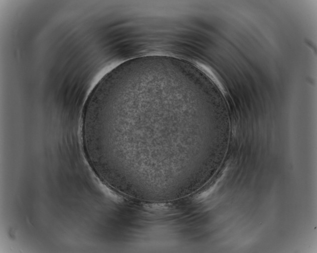 X0000091011149200708241506